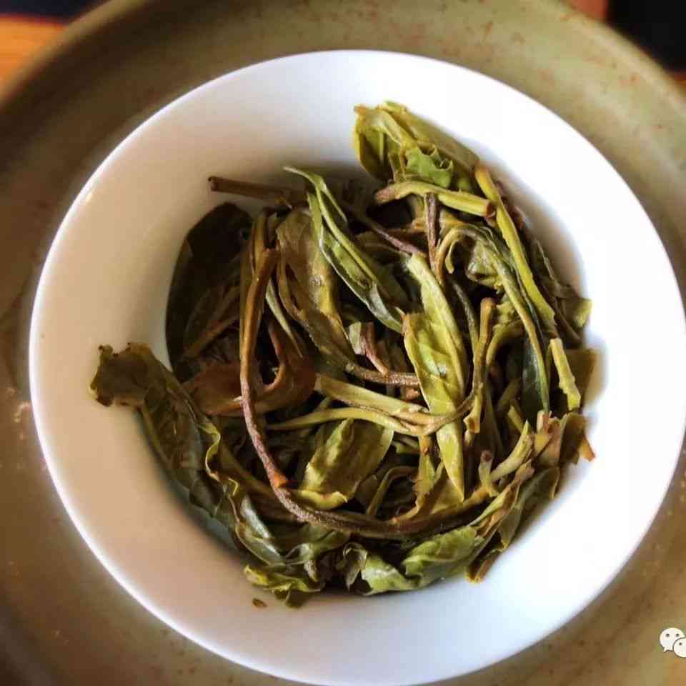 普洱茶立春