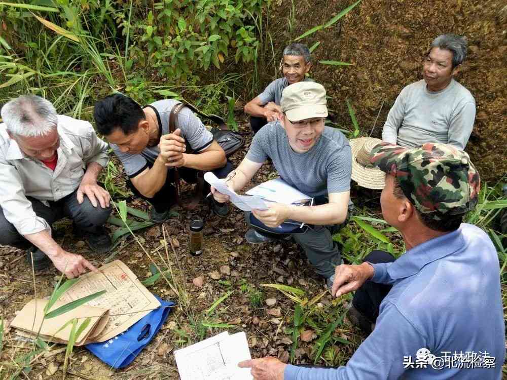 玉林信用卡逾期律师函查询：详细指南、应对策略及解决方法全解析