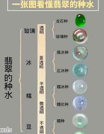 翡翠带种水：含义、品种及选购技巧全方位解析