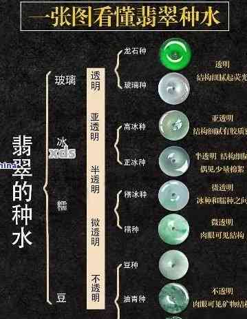 翡翠带种水：含义、品种及选购技巧全方位解析