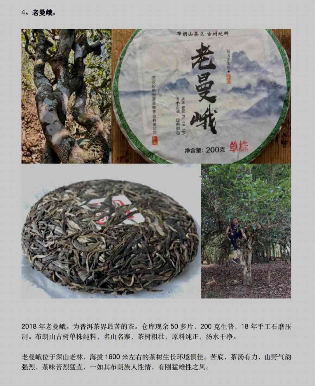 曼峨古树普洱茶全系列价格解析，让你一目了然