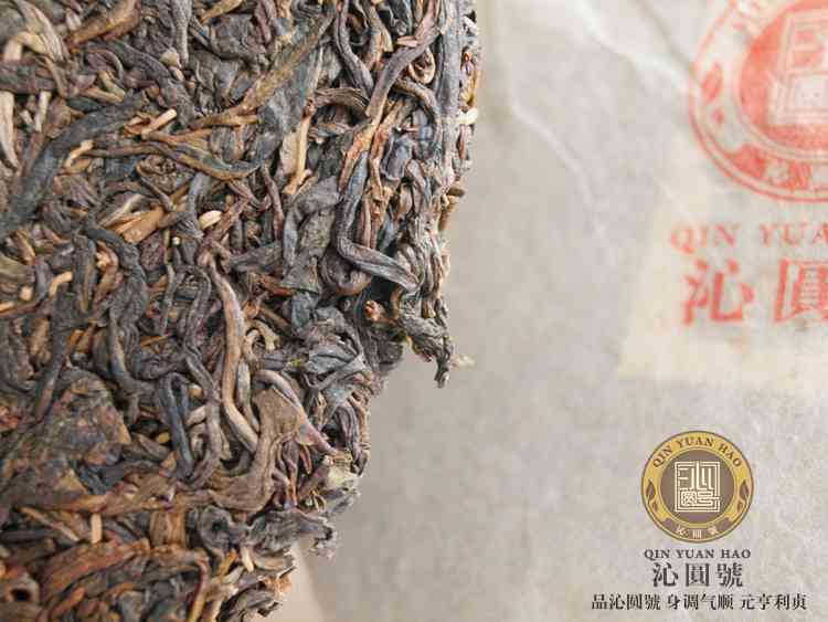 普洱茶茶虫长相特征：揭秘'小黑点'的真实面貌