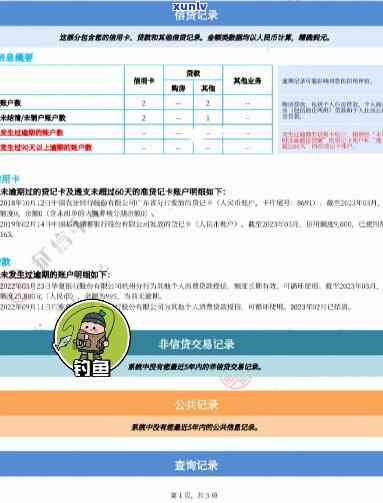 妻子网贷逾期60多天：对丈夫信用记录及贷款申请的影响全解析