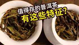 茶者普洱茶品质如何评价