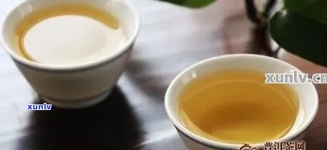 如何选择合适的普洱茶杯子？尺寸、材质和款式的综合考量