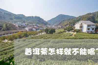 '观音岩普洱茶的生产地：详细生产基地及特色解析'