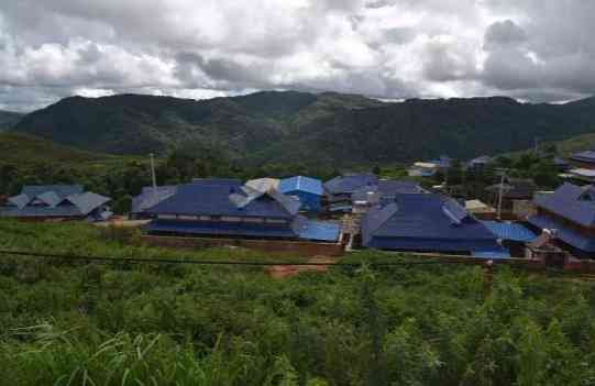 观音岩普洱茶：产自独特生态环境的高质量茶叶产地探寻