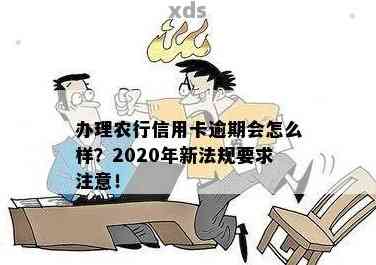 2020年信用卡两万逾期：如何避免信用危机与法律诉讼？