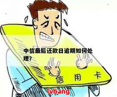 中信信用卡最后还款日逾期解决办法：账单日至后几天？