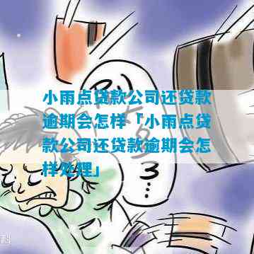 小雨点贷款公司还贷款逾期会怎样