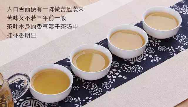 哪款普洱茶最适合自己？全面比较各类普洱茶的特点与口感