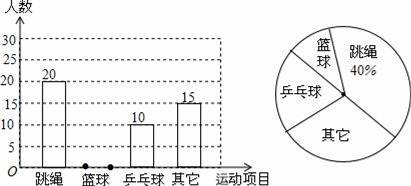 深入解析：俄翠与青海翠的异同点及其在宝石鉴定中的重要性