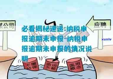 新逾期未申报的含义、原因及相关影响，如何避免？