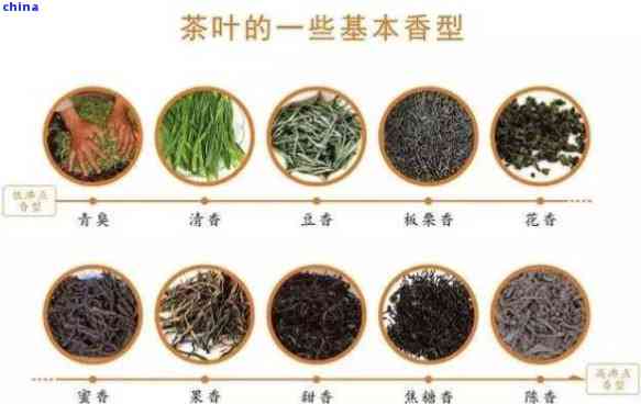 探究普洱茶香气的多样性：从五大类型到数十种细分品种