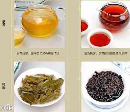 普洱茶品种名称及排名：普洱茶有哪些品种？