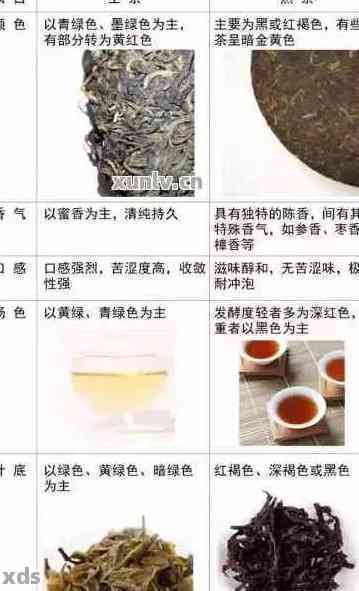 普洱茶品种全面解析：从古树熟茶到新工艺茶，一次了解所有种类