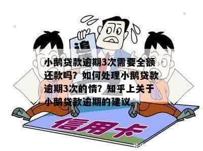 新小鹅借款，还款难题如何解决？