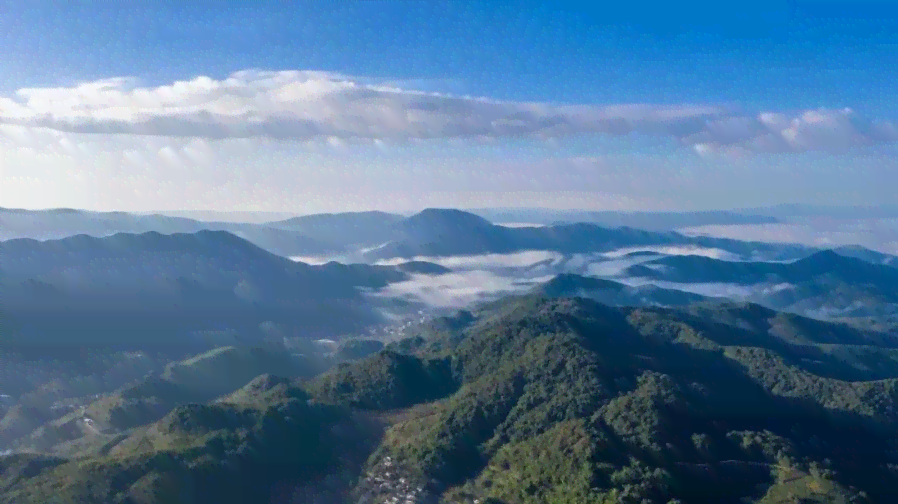 旅居普洱茶