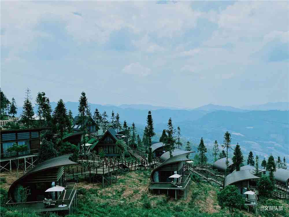 旅居普洱茶