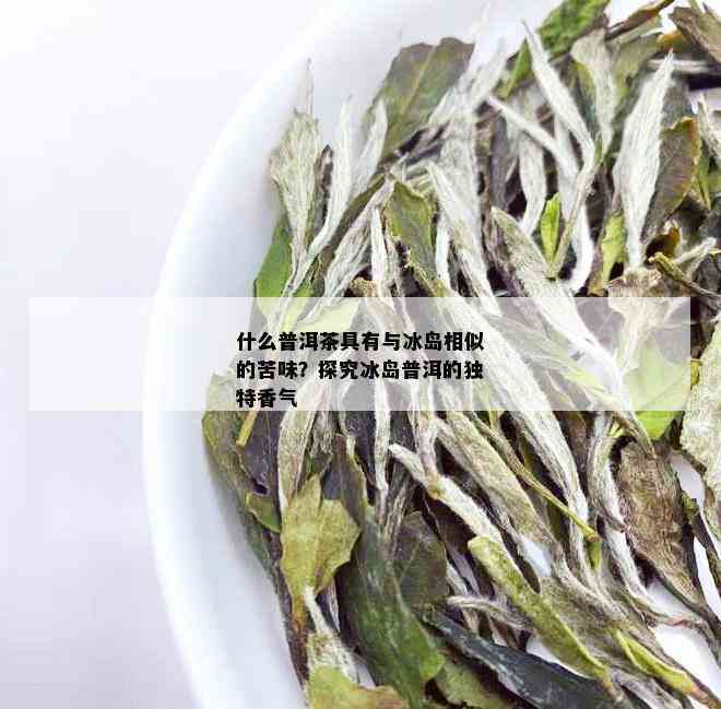 冰岛普洱茶比较苦的是哪种茶：探究冰岛普洱茶中的苦涩成分