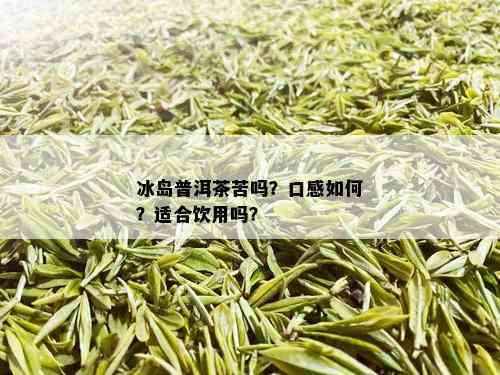 冰岛普洱茶中的苦味：哪种茶叶更胜一筹？