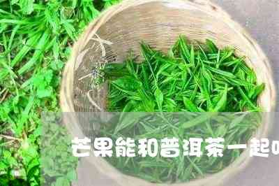 芒果普洱茶：茶香果甜的完美融合，让你爱不释口