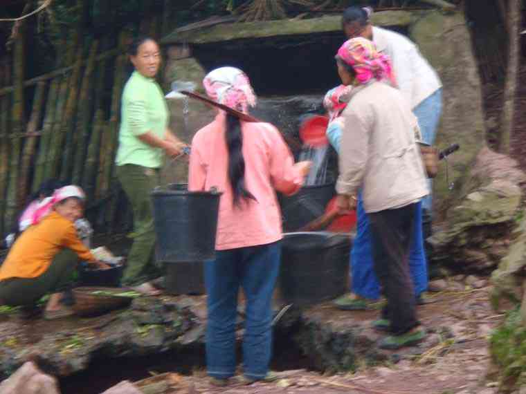 广普洱茶基地开发项目，广东普洱茶价格及洱广丰茶厂普洱茶信息