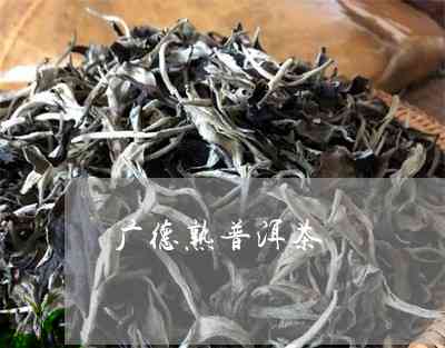 广普洱茶