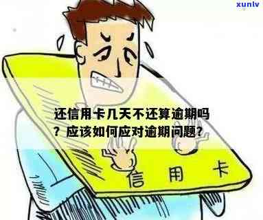 信用卡逾期以后怎么办