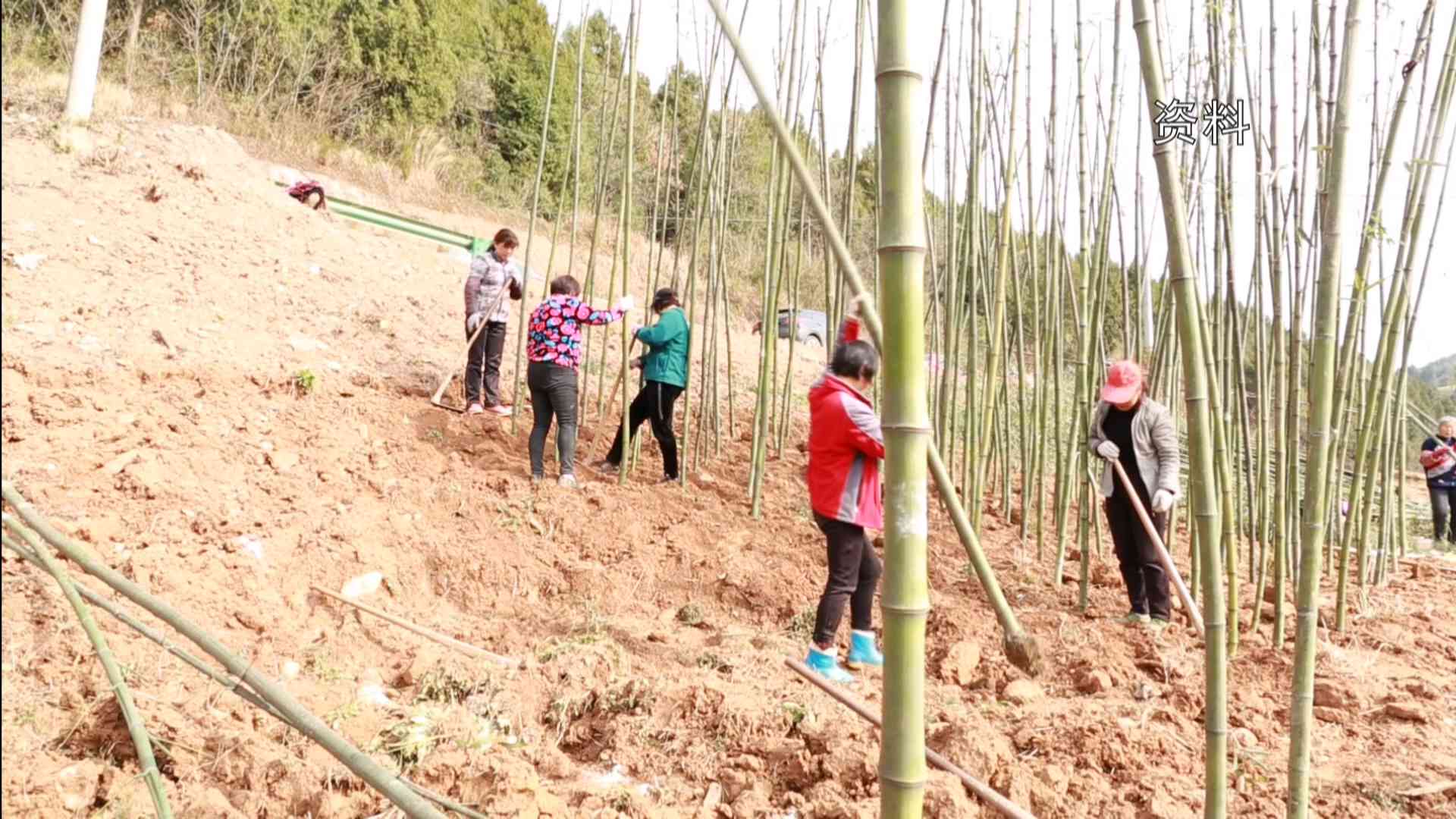 建设银行临时额度更低还款额度及还款方式详解