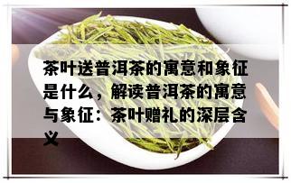 普洱茶中叶种代表茶是什么意思？