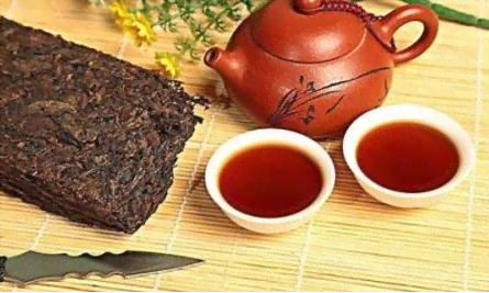 普洱茶中叶种代表茶是什么意思？