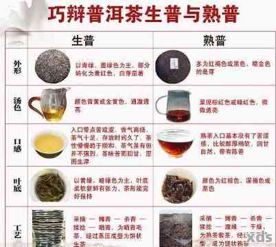 普洱茶耐泡工艺种类及茶具：探究普洱茶的不同冲泡方法和适用器具