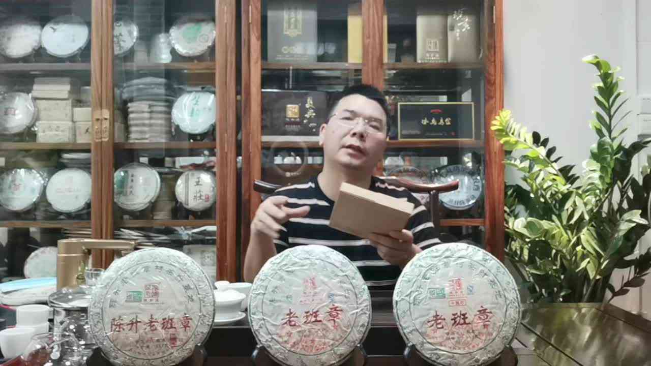 普洱茶老总