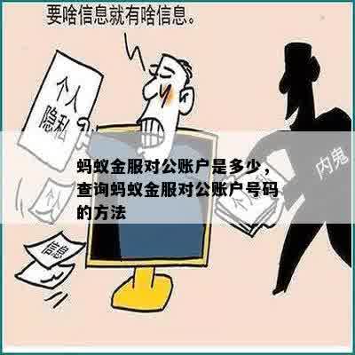 如何查询蚂蚁还款对公账号信息？了解详细步骤和注意事项