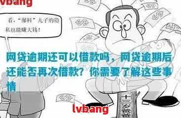 逾期一次网贷怎么不批了：影响及后续贷款可能性分析