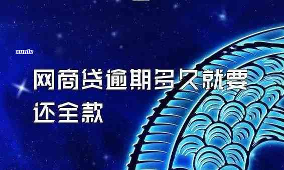 新【紧急提醒】网商贷逾期4天还款后果如何应对？