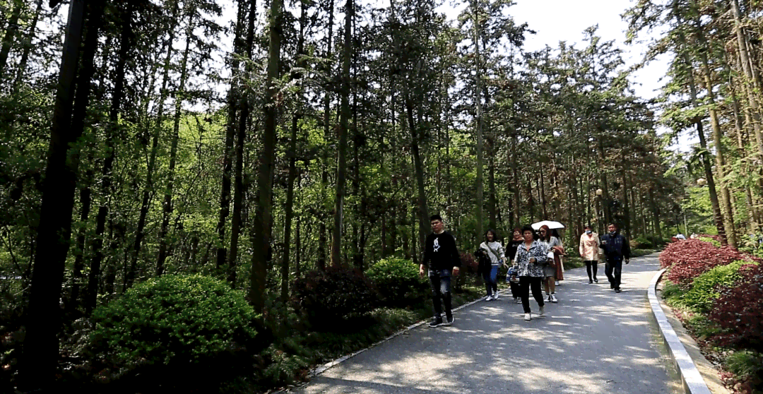 浓情春色锦玉：探索自然美景、户外休闲活动与春季旅游的全攻略