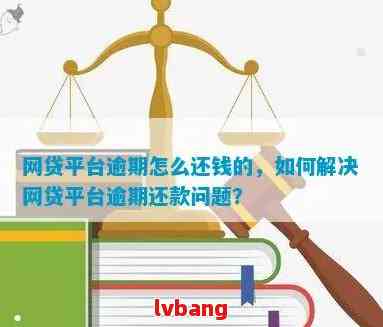 网贷逾期后如何恢复信用并开通分付功能？解答用户常见问题