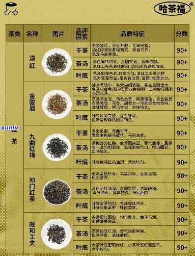 华普普洱茶品质、厂官网、档次、含义与茶业全解析