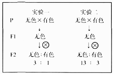 普洱茶中的黑色素含量：真相揭秘与健影响分析