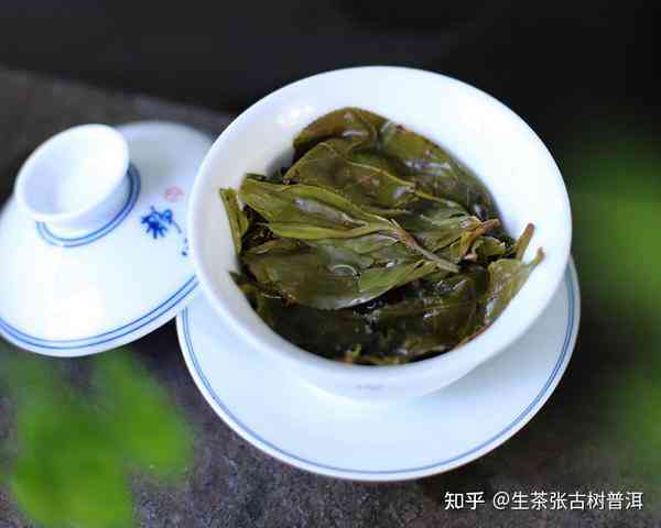 景糯普洱茶的口感特点与魅力解析