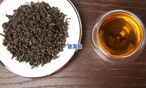 普洱茶菌的全面解析：品种、产地、功效、冲泡方法与品鉴技巧