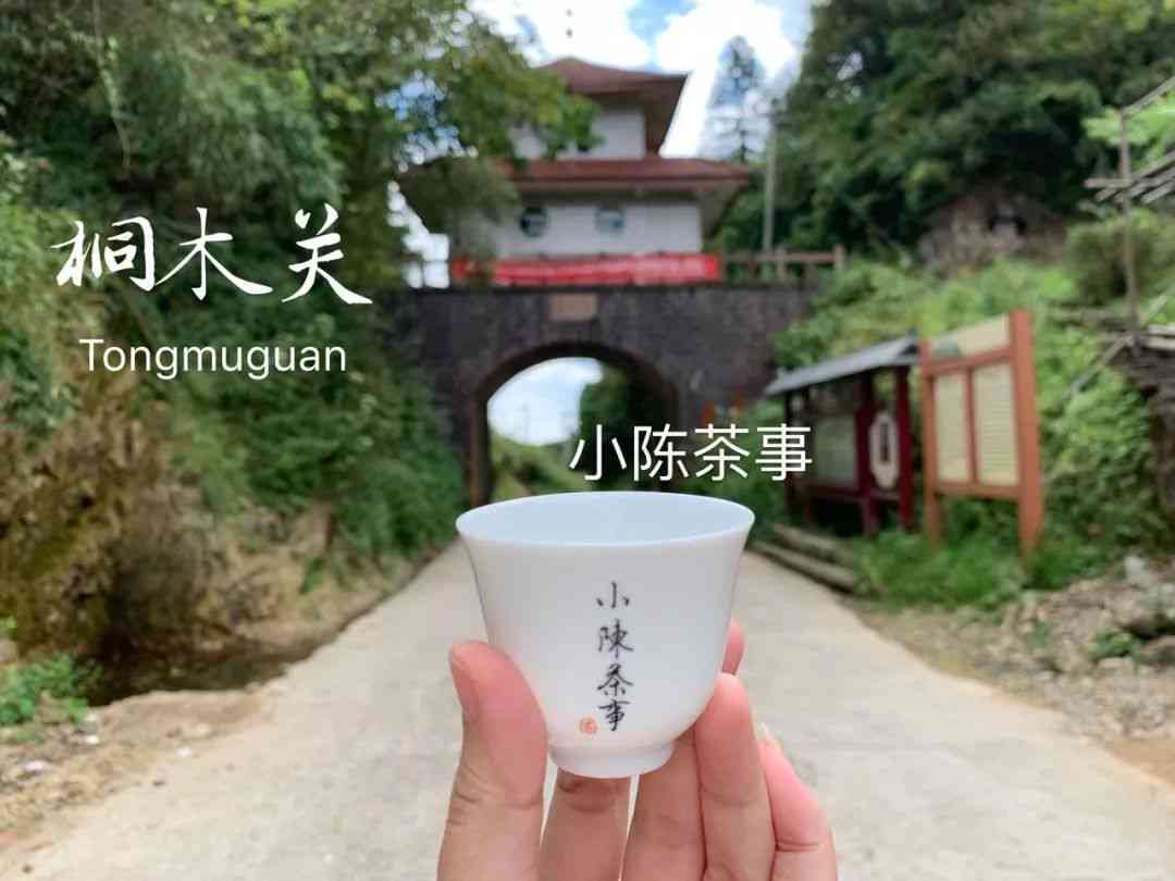 详解存放普洱茶的三种方法：方式与如何实现