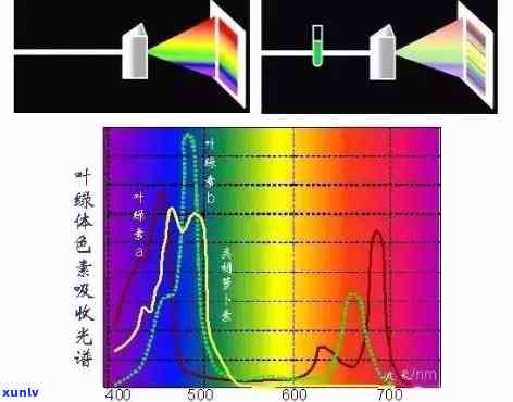 翡翠光电效应原理及其在光感研究中的应用