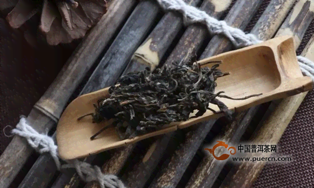 普洱茶群号