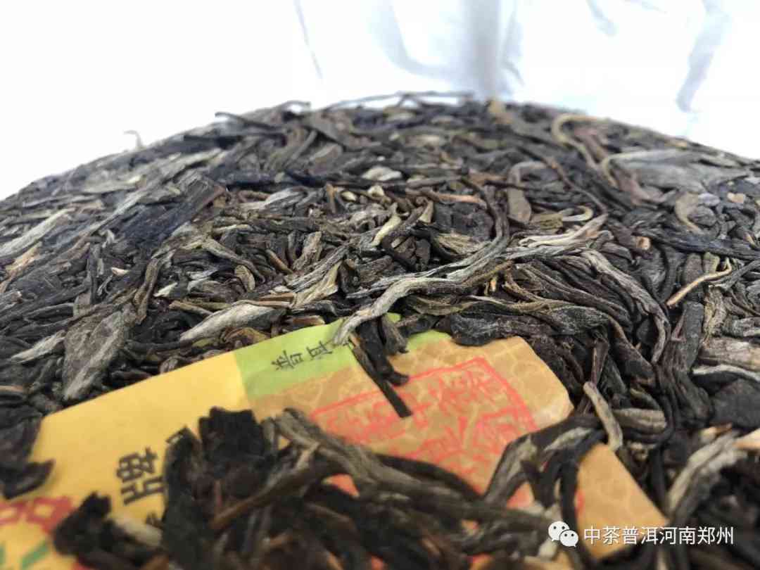 攸乐山普洱茶是不是大叶种