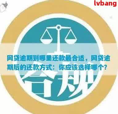 当前逾期可以申请哪些网贷平台：借款攻略大全