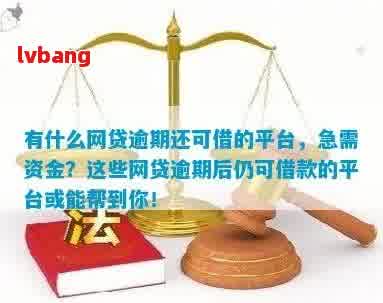 逾期中的借款人能否申请网贷？在逾期情况下，有哪些网贷平台可以提供帮助？