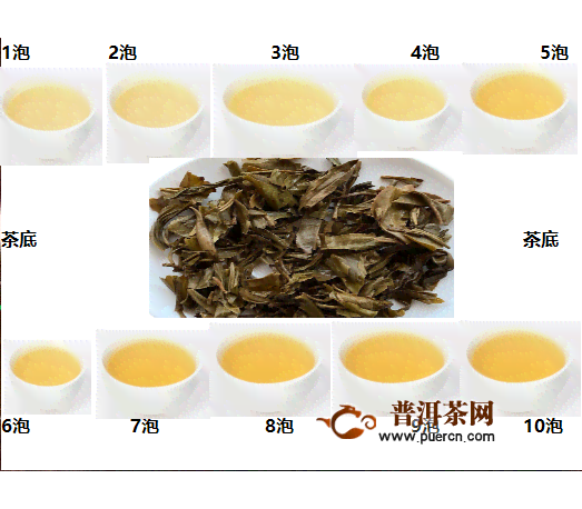 普洱茶六大茶山分别是哪些地方和山，各产什么茶？